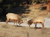 Rocky Mountain National Park