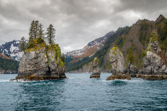 Kenai Fjords National Park