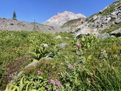 Mt. Hood National Forest