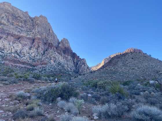 Red Rock Canyon National Conservation Area