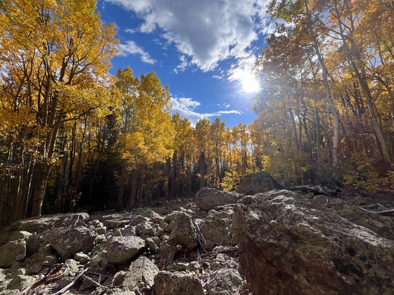 Sangre de Cristo Wilderness 