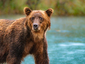 Lake Clark National Park