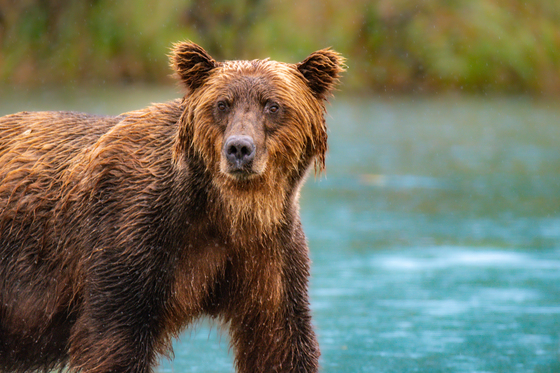 Lake Clark National Park