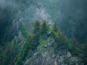 Kenai Fjords National Park