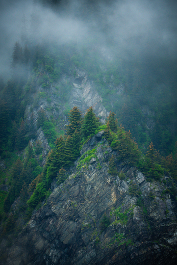 Kenai Fjords National Park