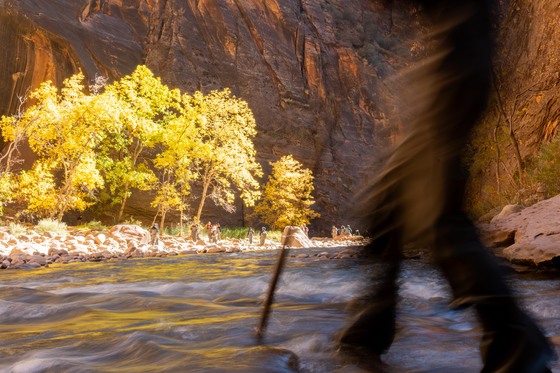 Zion National Park