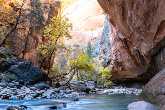 Zion National Park