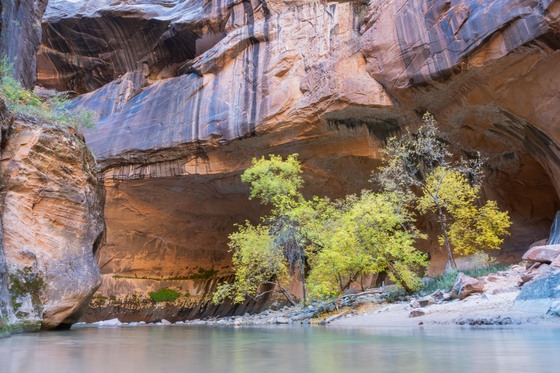 Zion National Park