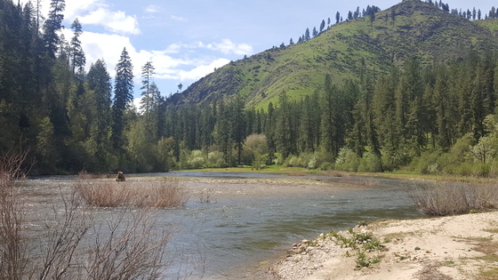 Nez Perce Forest Service - South Fork Campgrounds 