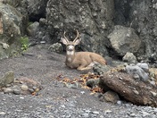 King Range National Conservation Area