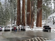 Sequoia National Park