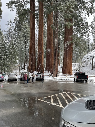 Sequoia National Park