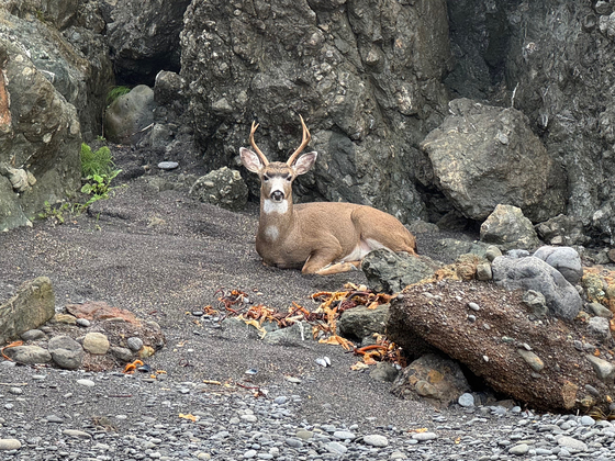 King Range Nationnal Conservation Area