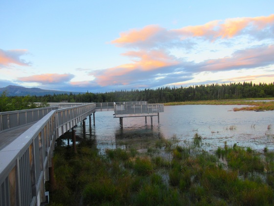 Katmai National Park