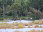 Katmai National Park 