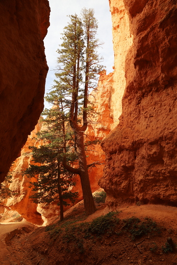 Bryce Canyon National Park