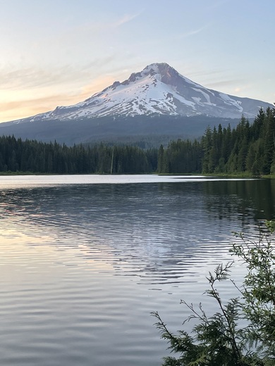 Mount Hood National Forest