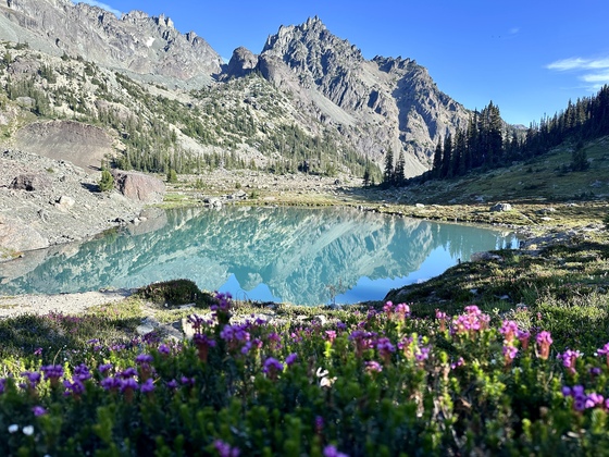 Olympic National Park