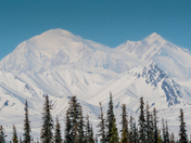 Denali National Park