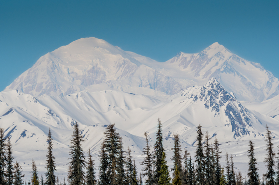 Denali National Park