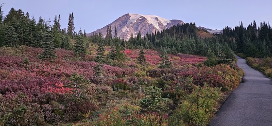 Mount Rainier National Park