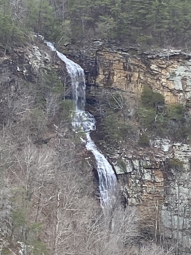 Cloudland Canyon
