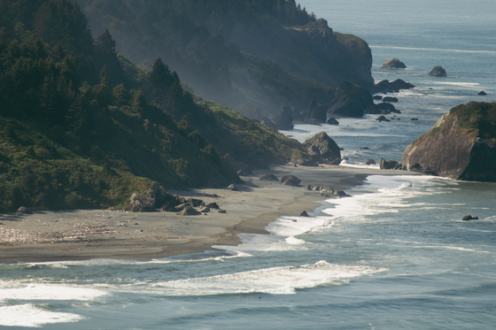 Redwood naational and state parks