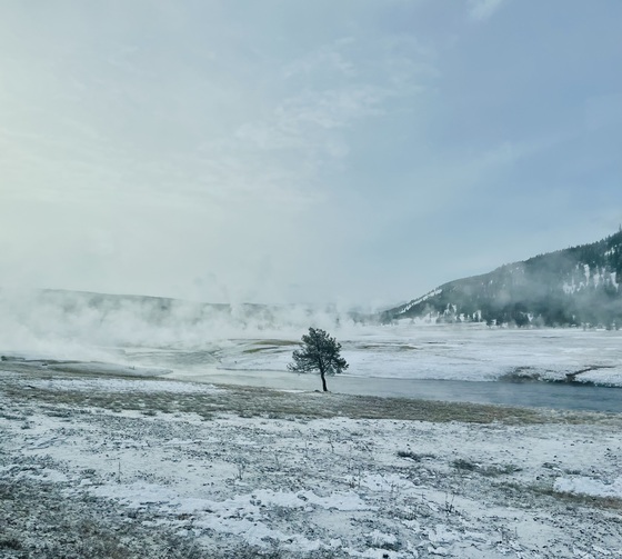 Yosemite, Yellowstone National Park