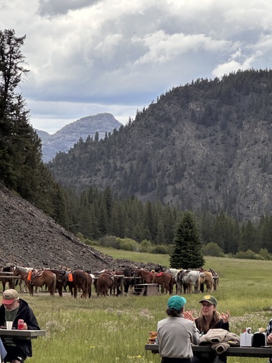 Yellowstone National Park 