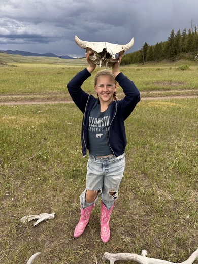 Yellowstone National Park 