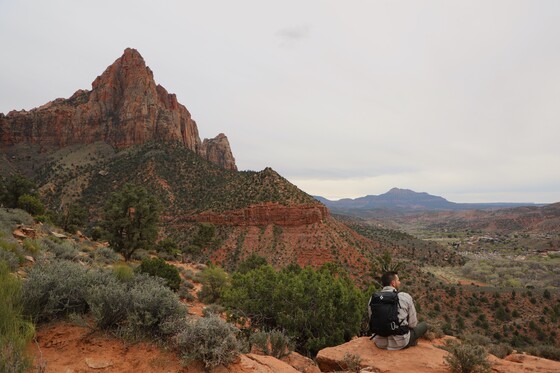 Zion National Park