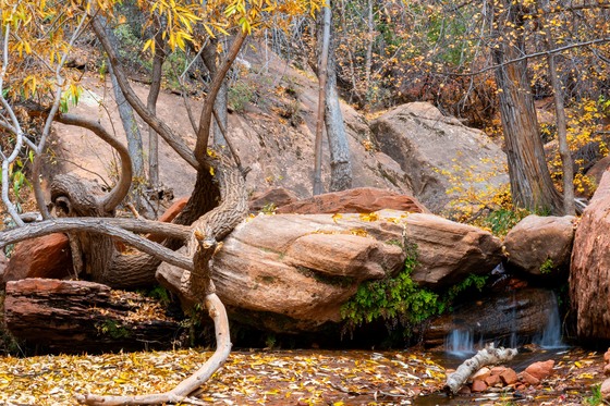 Zion National Park