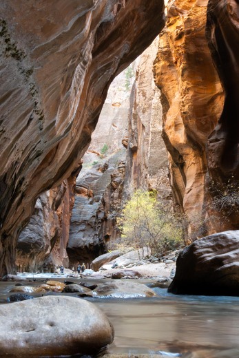 Zion National Park