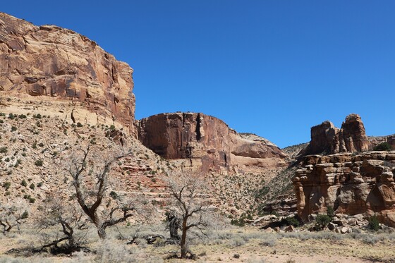 Buckhorn Draw/San Rafael Wash BLM
