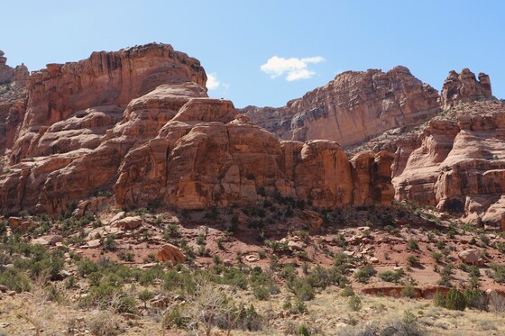 Buckhorn Wash BLM