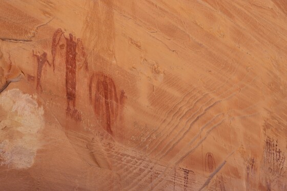 Buckhorn Panel BLM