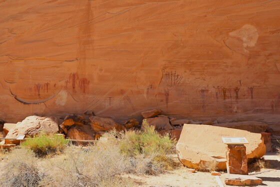 Buckhorn Panel BLM