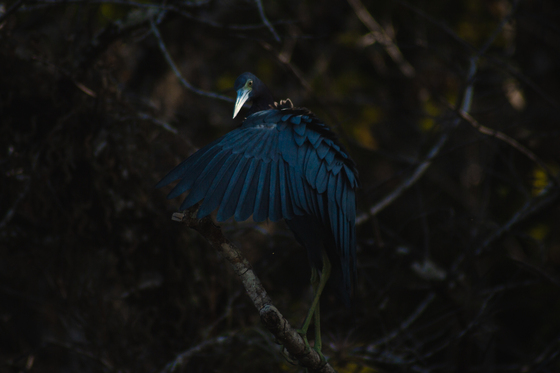 Everglades National Park