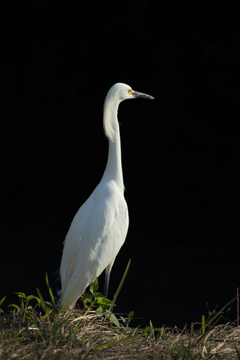 Everglades National Park