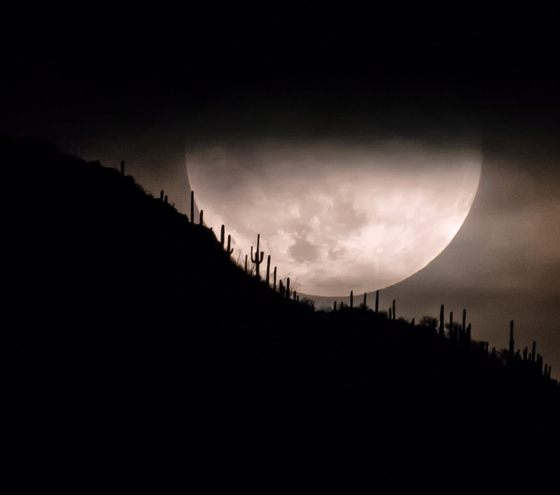 Saguaro National Park West