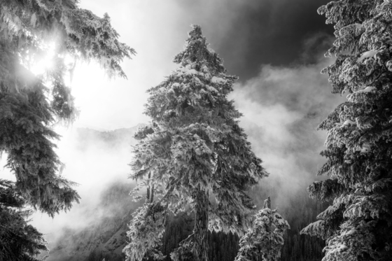 Alpine Lakes Wilderness
