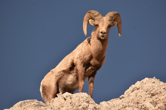 Badlands National Park