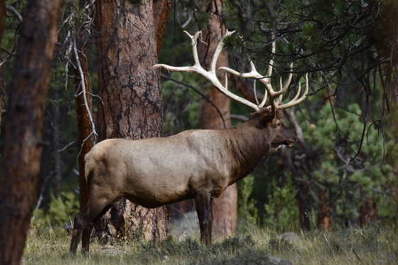 Rocky Mountain National Park