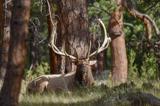 Rocky Mountain National Park