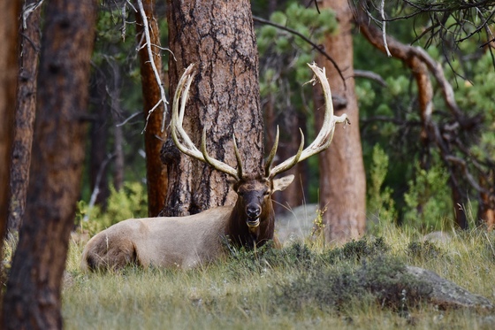Rocky Mountain National Park