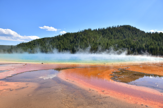 Yellowstone National Park, Grand Prismatic Spring