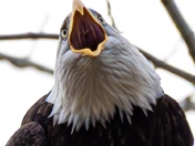 Victory 🎶🎶🎶