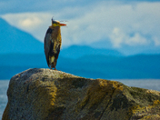 Scouting The Passage