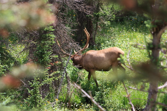 Rocky Mountain National Park