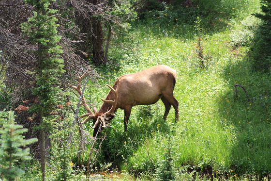 Rocky Mountain National Park 
